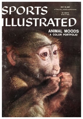 42659 - Cover Image
